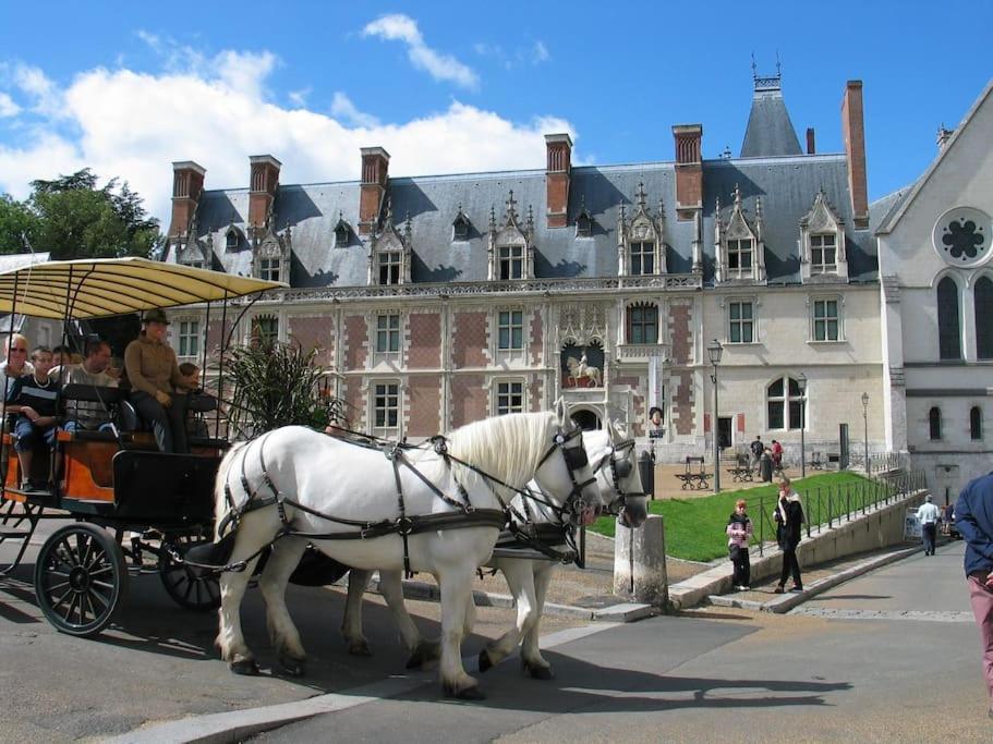 Blois City - Le Petit Louis XII Eksteriør billede