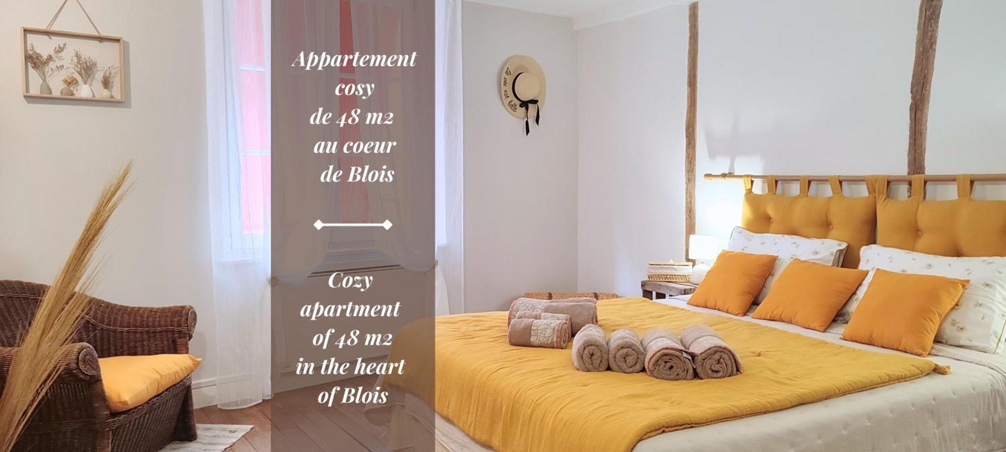 Blois City - Le Petit Louis XII Eksteriør billede